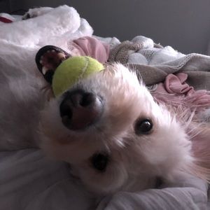 Meet your Posher, Danielle